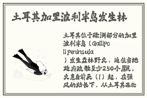 伽罗太华翻白眼还留着作业